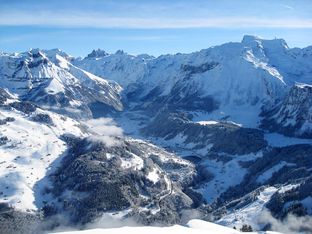 200802_Salistock01